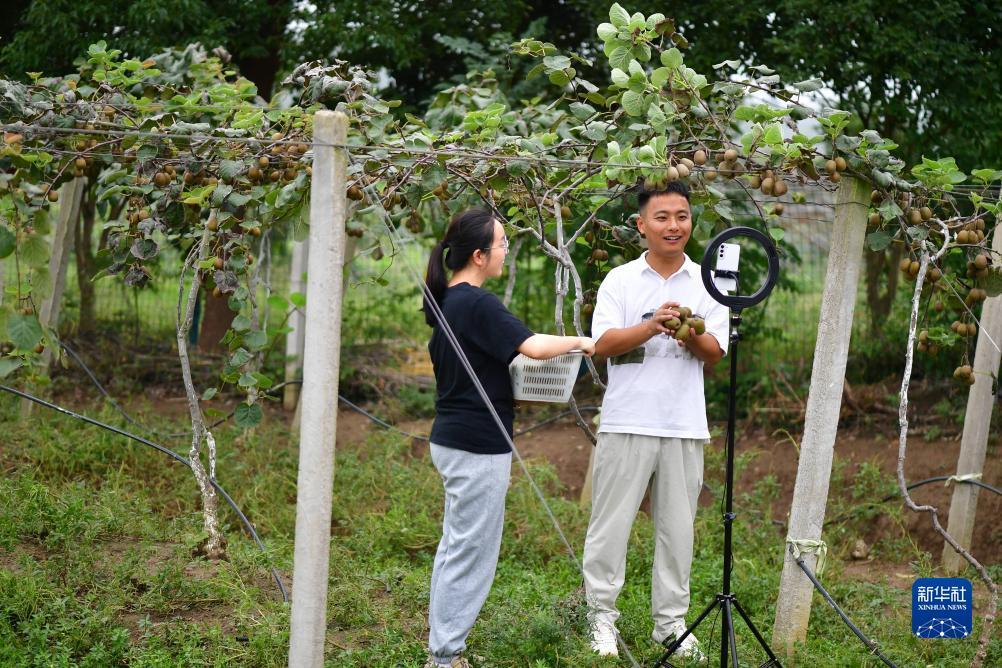 皇冠线上登录